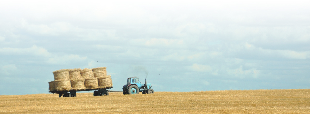 hay bales pulled behind tractor